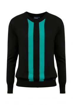 Finn Flare Strickpullover - Black | Herren -Finn Flare Verkaufsladen 062d48e487f24cfebf3446ba09082ce8