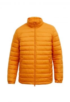Finn Flare Winterjacke - Yellow | Herren 16 Finn Flare Winterjacke - Yellow | Herren -Finn Flare Verkaufsladen 535babf78ca04b9dab51673fc79680da