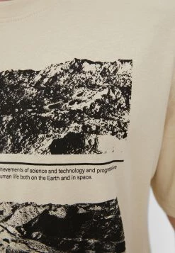 Finn Flare Herren T-Shirt Print - Grey-beige -Finn Flare Verkaufsladen e8a300531f6548ec9a3fa52a2779383a